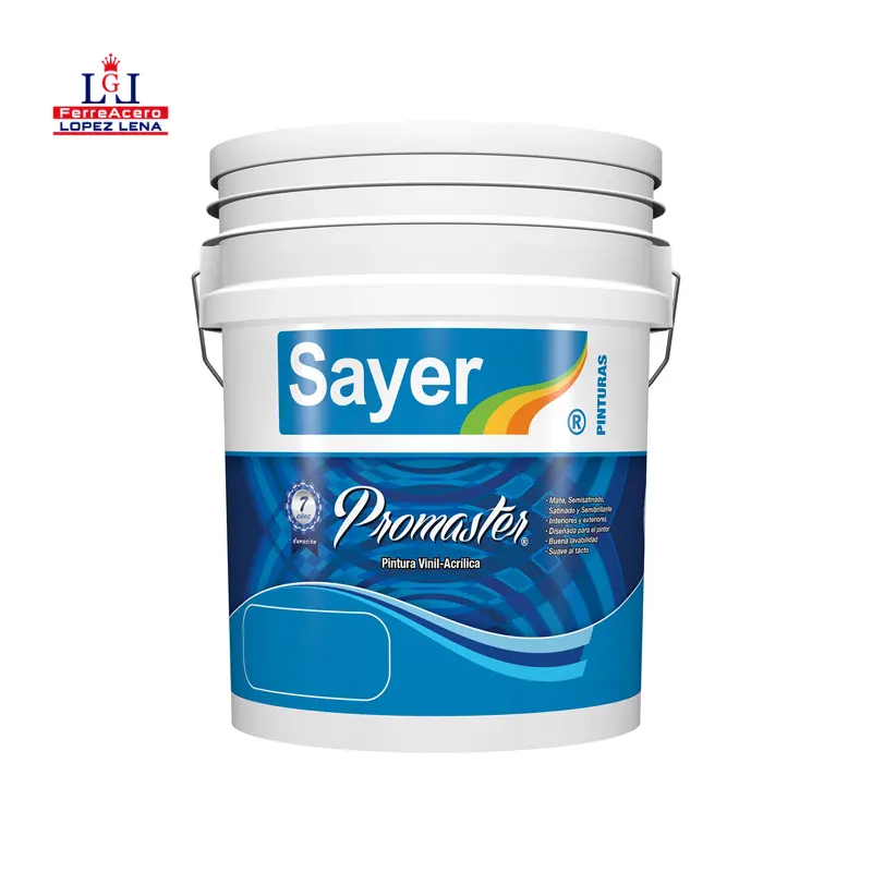 Pintura 19 Lt Promaster