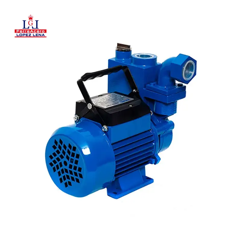 BOMBA AUTOCEBANTE 0.50 HP - ALT. MAX. 30 MT -SUCC-1
